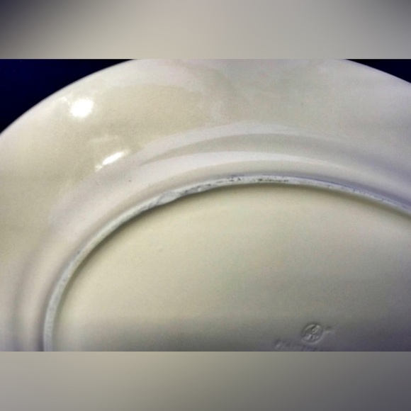 Vintage PFALTZGRAFF Ivory White Blue Striped Edge Floral Oval Serving Plate - Picture 10 of 10